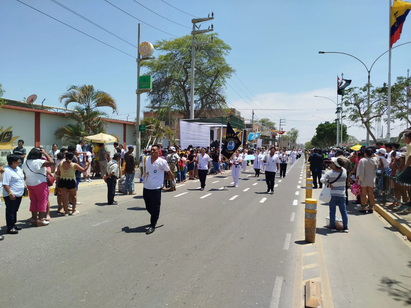 Imagen 25